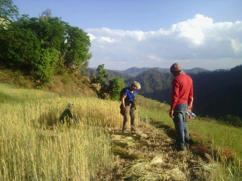 Local Kumaoni community, village life and gatherings near Joshi Cottage (7)