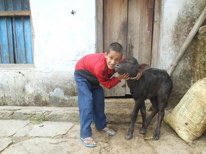 Local Kumaoni community, village life and gatherings near Joshi Cottage (4)